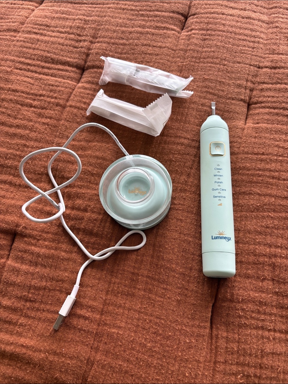 Mint Electric Toothbrush with Charging Base